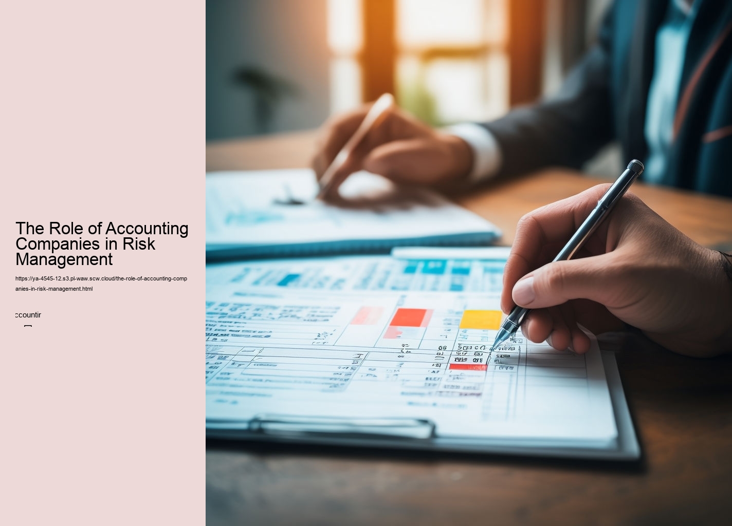 The Role of Accounting Companies in Risk Management